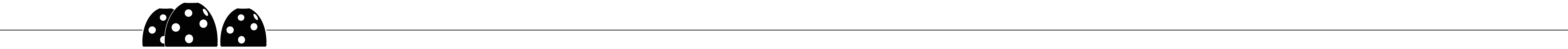 RBF_Divider5